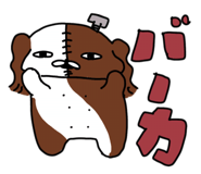 796657868