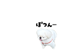 796660656