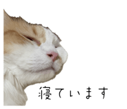 796664045