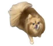 796664061