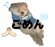 796664355