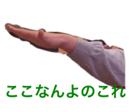 796675716