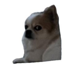 796676257