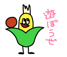 7966877