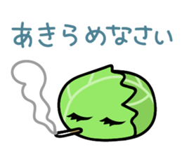 7966891