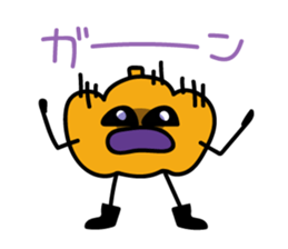 7966897
