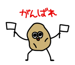 7966900