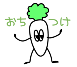 7966901