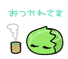 7966902