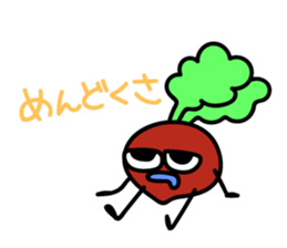 7966903