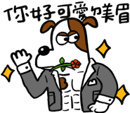 796698545