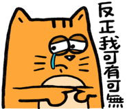796698549