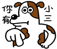 796698556