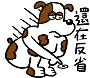 796698557