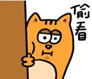 796698567
