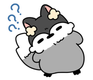 796699067