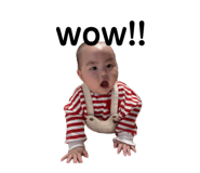796713694