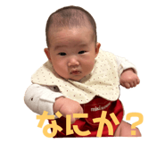 796713953