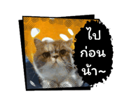 796715657