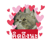 796715658