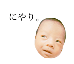 79672495