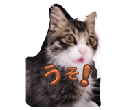 796734880