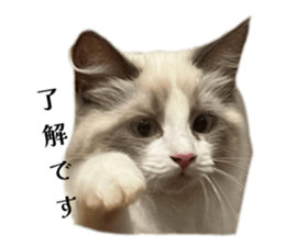 796736396