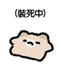796740244