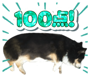 796745385