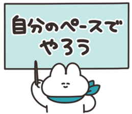 796749507