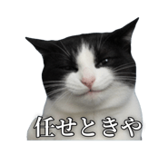 796753413