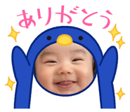 796753566