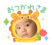 796753568