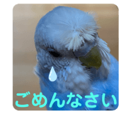 796761144