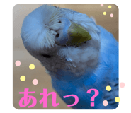 796761146
