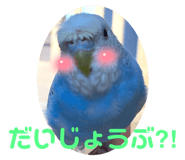 796761147