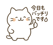 796762717