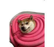 796766322