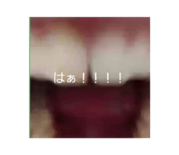 796766480