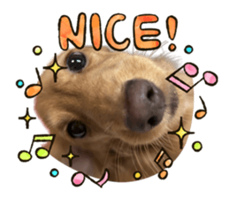 796769620