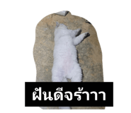 796777546