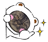 796777557