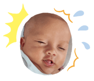 796777611