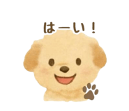796793068