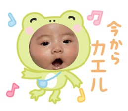 796797341