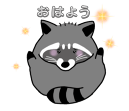 796803552
