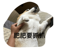 796819138