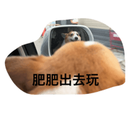 796819140