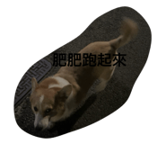 796819143