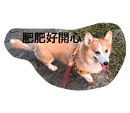 796819144